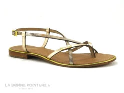 Tropeziennes MONACO Or Serpent - Plagette Tong -Magasin De Chaussures cd24607c73b9e66c561f35ea11d5d5ef img 1071.jpg 147940