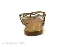 Tropeziennes MONACO Or Serpent - Plagette Tong -Magasin De Chaussures cd24607c73b9e66c561f35ea11d5d5ef img 1074.jpg 147942