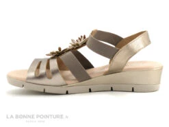 Valerias 5090 Taupe - Bronze - Fleurs Relief - Sandale Femme -Magasin De Chaussures cd24607c73b9e66c561f35ea11d5d5ef img 5465.jpg 135051